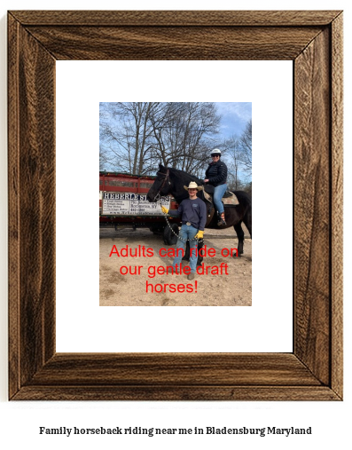 family horseback riding near me in Bladensburg, Maryland